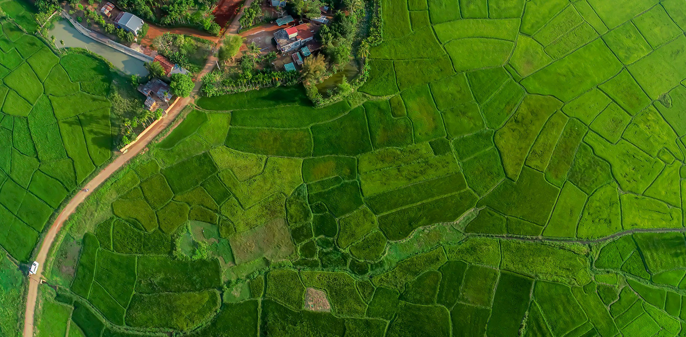 Ở trong nội đô hay vùng ven, sắc xanh cũng là điểm nhấn của thành phố. Ảnh: Vũ Duy Thanh.