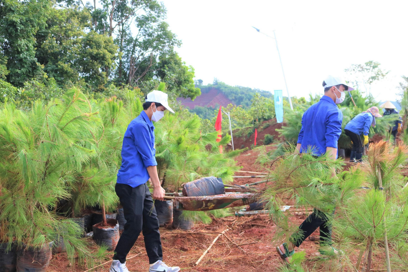 Lực lượng thanh niên tham gia trồng cây xanh Lực lượng thanh niên tham gia trồng cây xanh