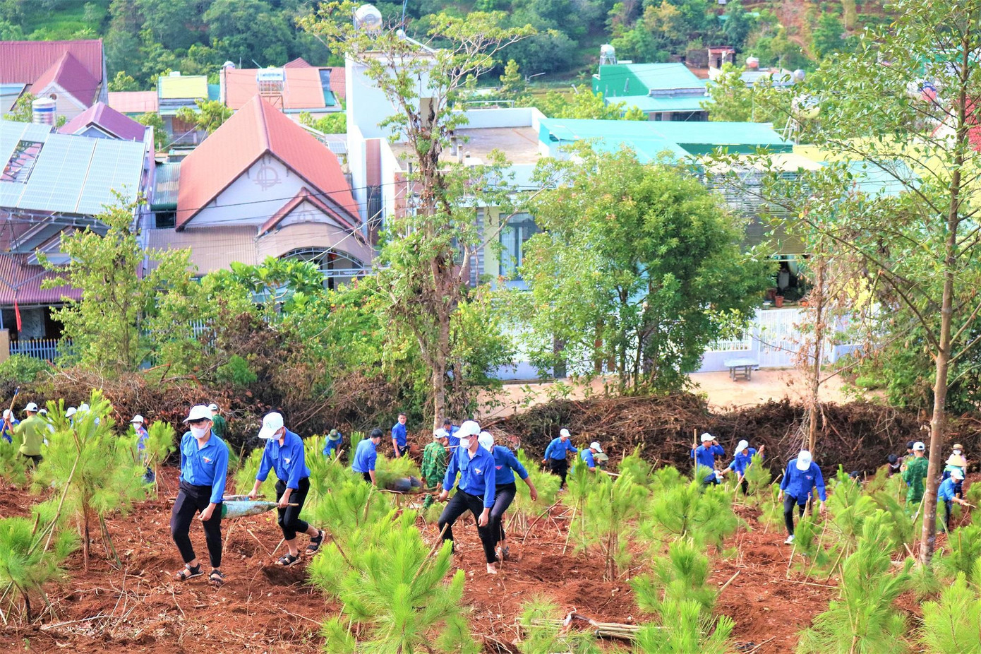 Đông đảo đoàn viên thanh niên Đắk Nông tham gia Ngày hội trồng cây Đông đảo đoàn viên thanh niên Đắk Nông tham gia Ngày hội trồng cây