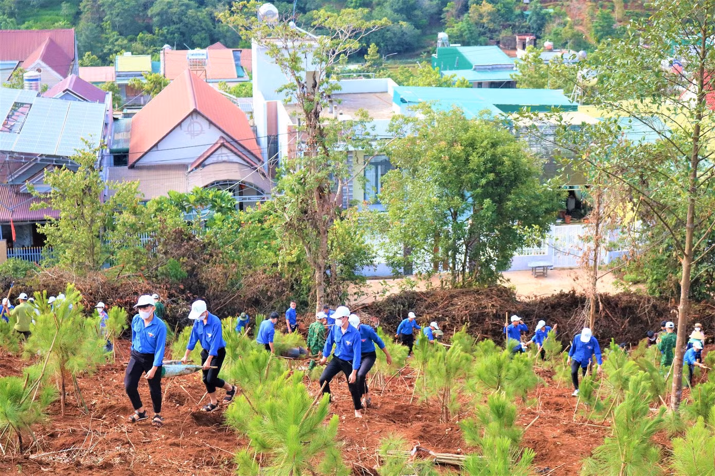 Đông đảo đoàn viên thanh niên Đắk Nông tham gia Ngày hội trồng cây