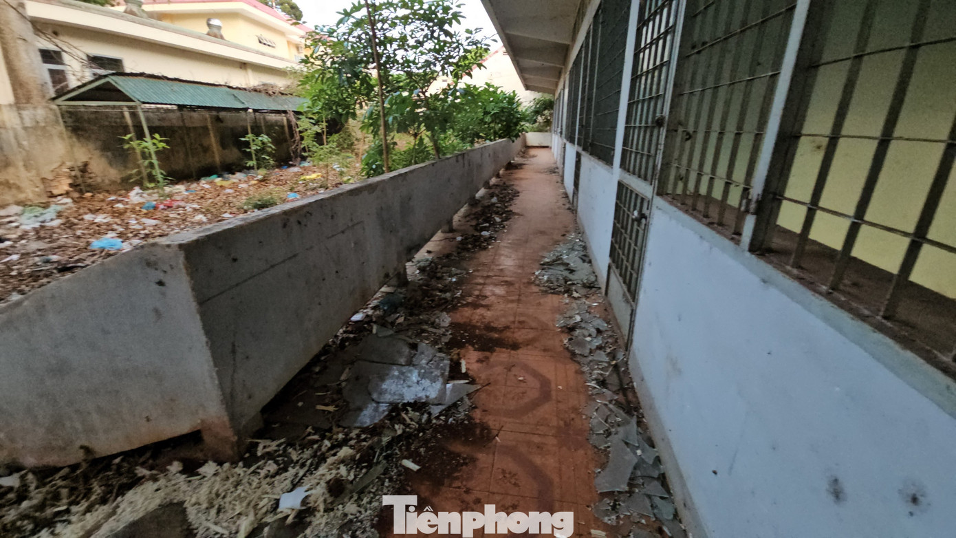 Cảnh hoang tàn tại trụ sở Chi cục thuế huyện Cư M'gar (cũ).