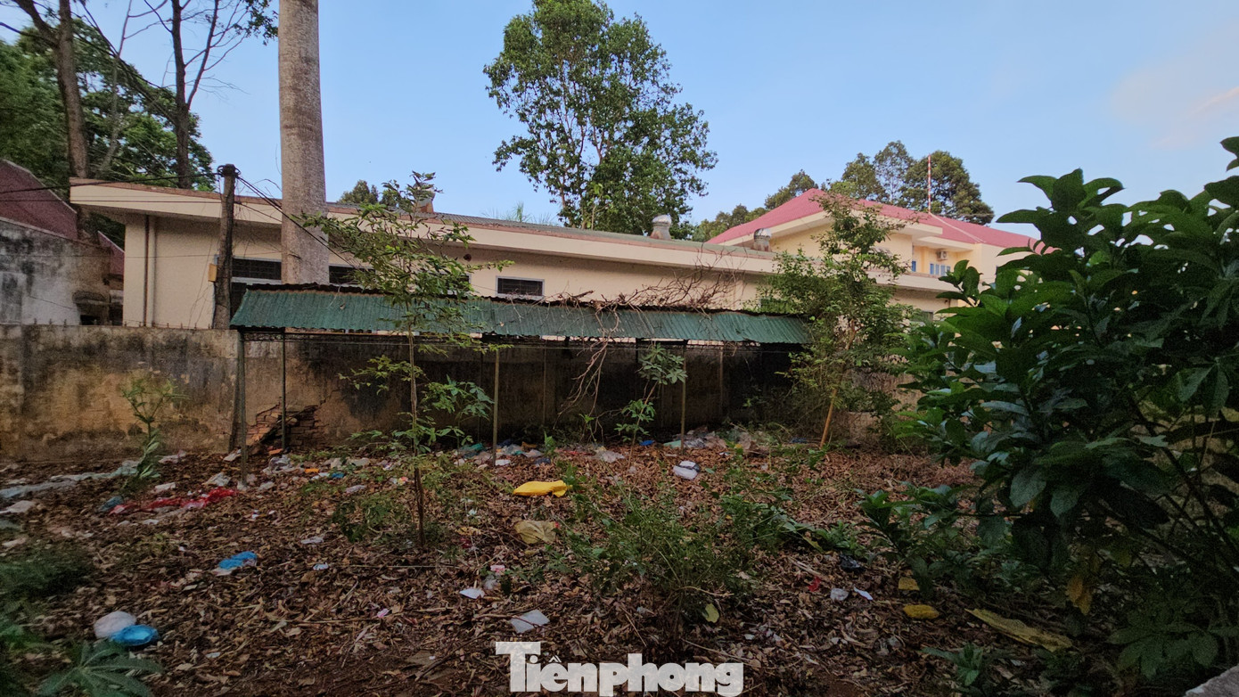 Phía sau trụ sở cũng ngập tràn rác.