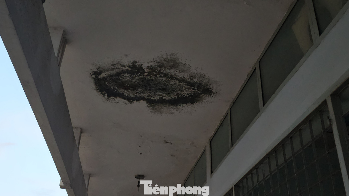 Phía trên trần nhà đã bị ẩm, mốc.