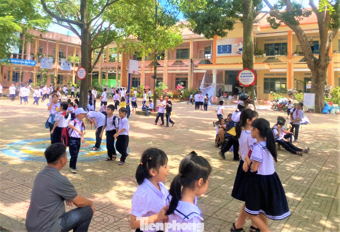 Học sinh Trường Tiểu học Nguyễn Công Trứ