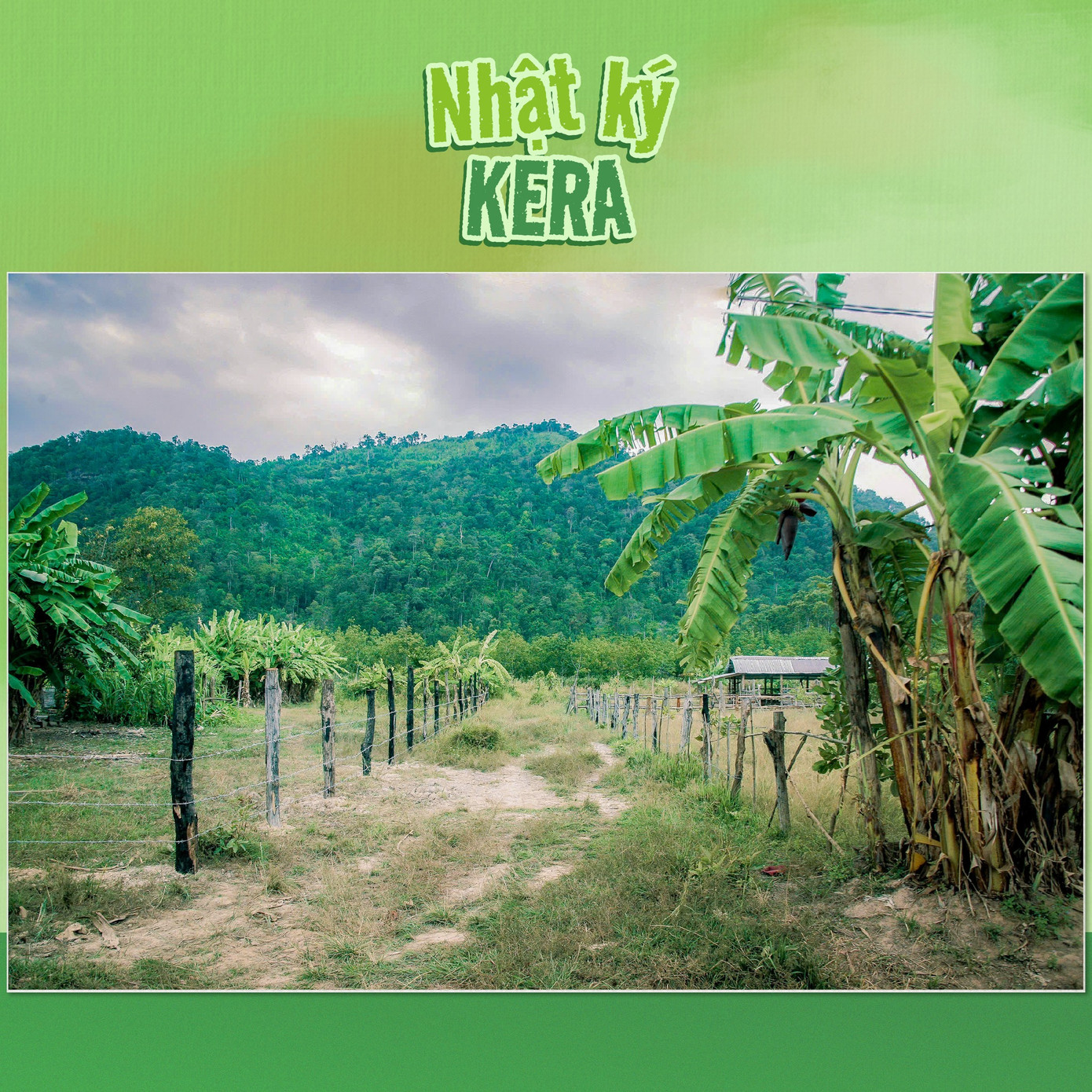 Khu vực Kera khảo sát thuộc xã Yang Mao, huyện Krông Bông, tỉnh Đắk Lắk.