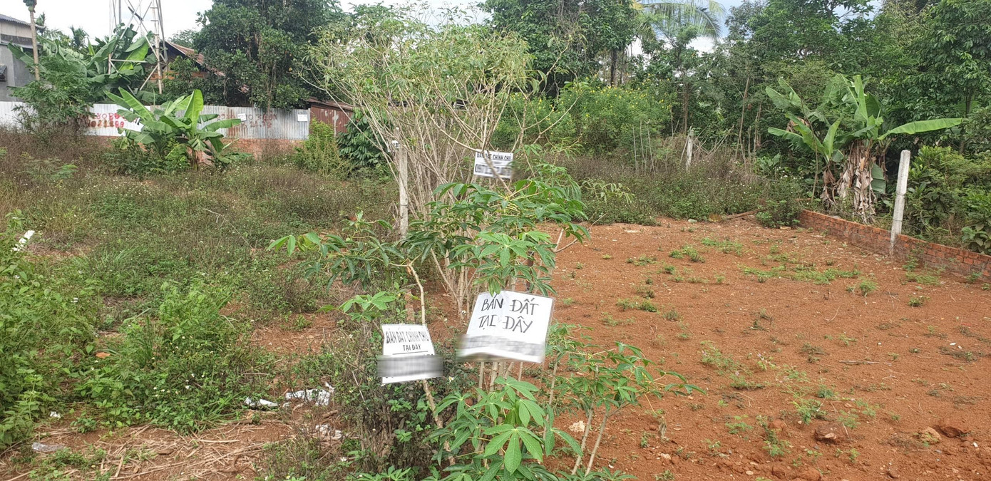 Một lô đất ở xã Ea Tu (TP. Buôn Ma Thuột) được cắm nhiều bảng rao bán đất