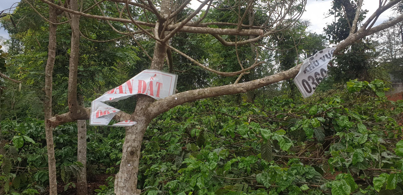 Đất nông nghiệp ở ngoại ô thành phố cũng được thổi giá rất cao