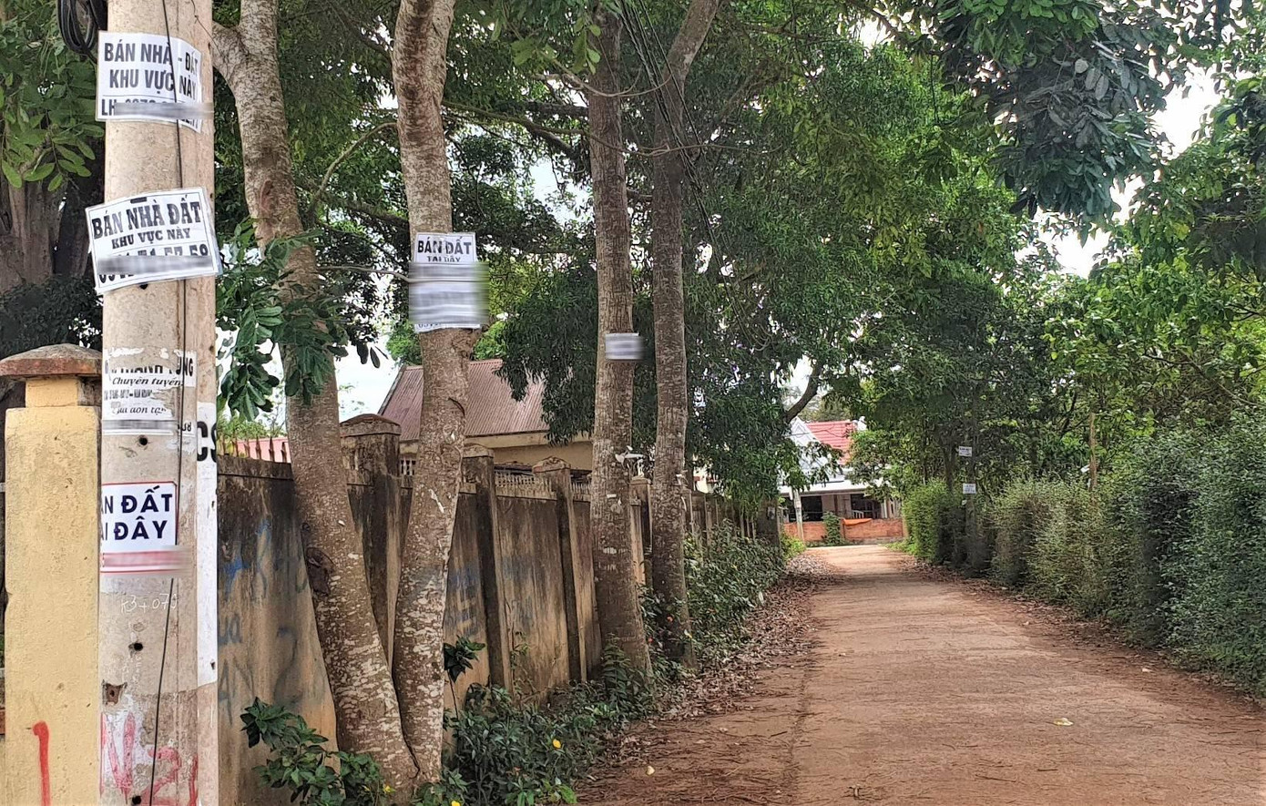 Bảng rao bán đất được treo khắp đường vào vùng ngoại ô thành phố Buôn Ma Thuột