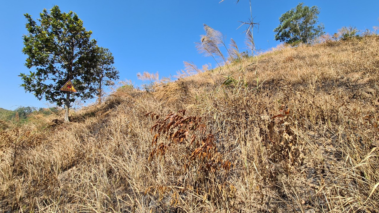 Từ đầu năm đến nay, tại huyện Đắk G'long phát hiện nhiều vụ đốt rừng với quy mô lớn