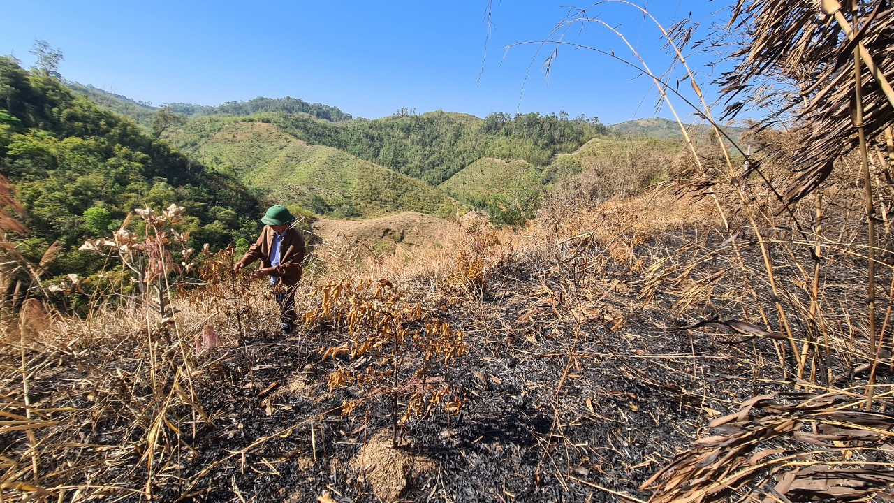 Rừng phòng hộ bị đốt nhằm chiếm đất sản xuất