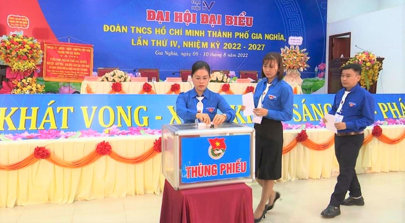 Các đại biểu tham gia bỏ phiếu Các đại biểu tham gia bỏ phiếu