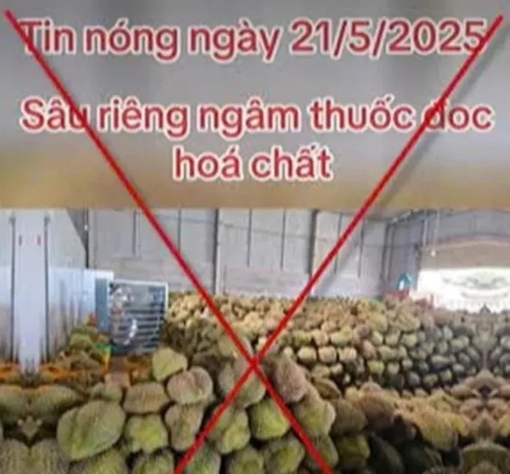 Tin giả ảnh hưởng đến ngành sầu riêng Tin giả ảnh hưởng đến ngành sầu riêng