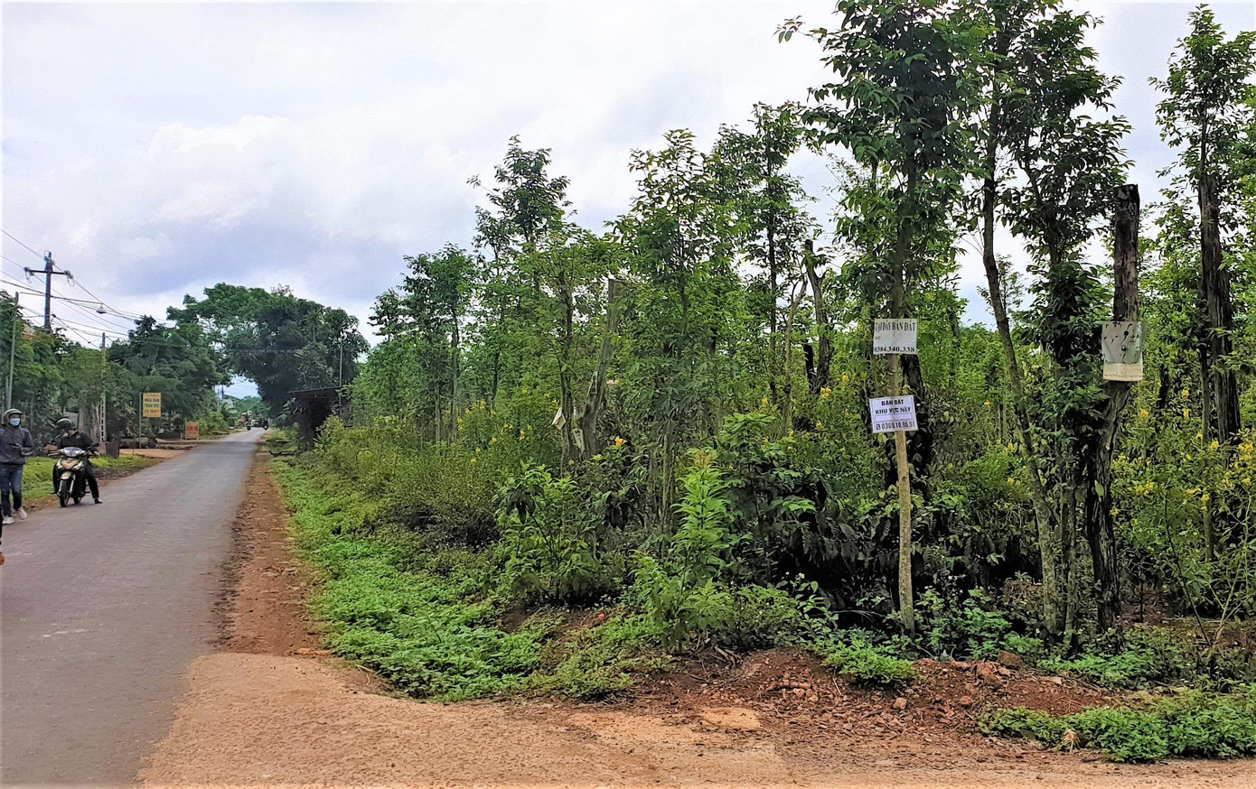 Bảng bán đất được treo khắp đường vào xã Cư Suê