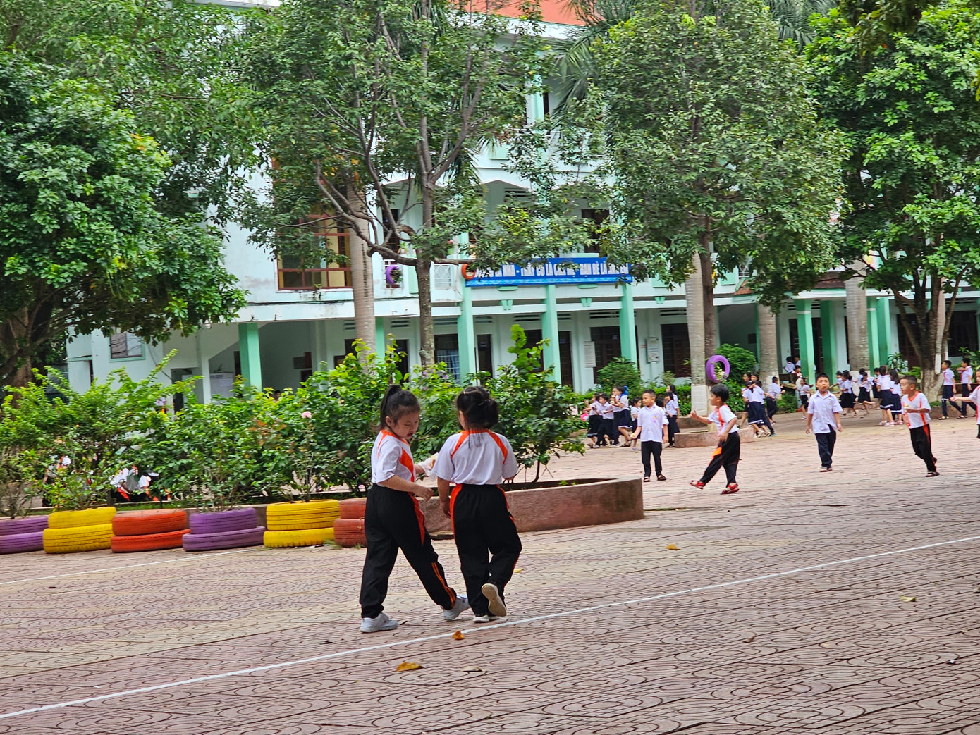 Sở GD&ĐT tỉnh Đắk Lắk đề nghị đưa môn tự chọn ra khỏi chương trình chính khóa Sở GD&ĐT tỉnh Đắk Lắk đề nghị đưa môn tự chọn ra khỏi chương trình chính khóa