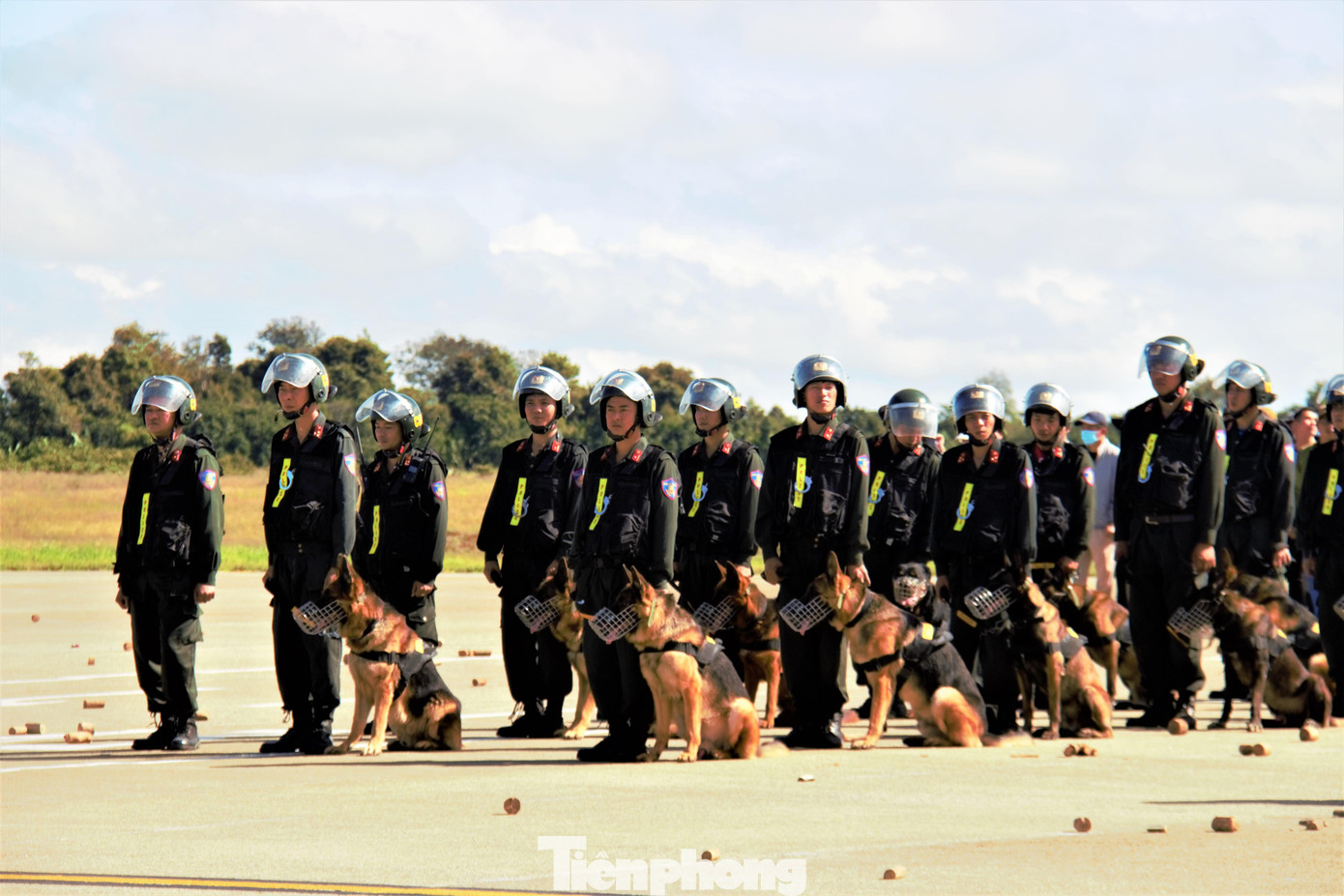 Nhiều chú chó nghiệp vụ tham gia diễn tập