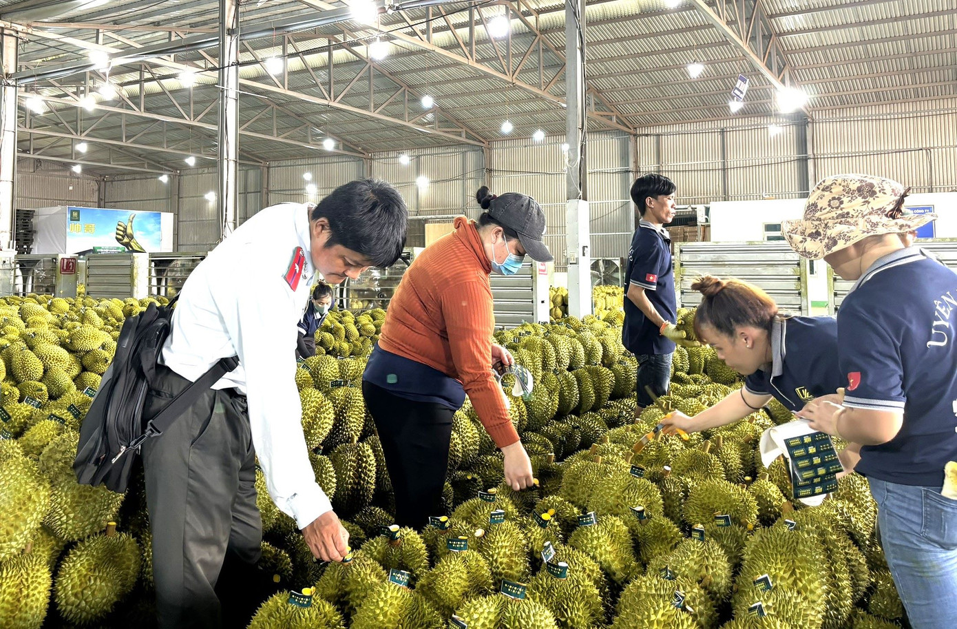 Đoàn kiểm tra đột xuất của Sở NN&amp;PTNT tỉnh Đắk Lắk.