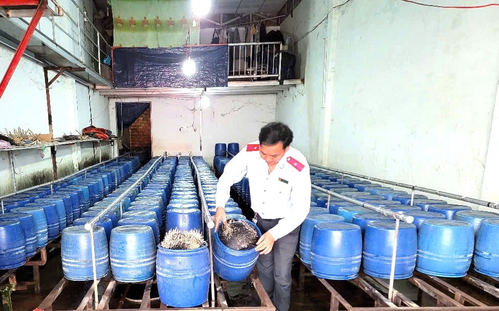 Lực lượng chức năng kiểm tra cơ sở sản xuất giá đỗ.