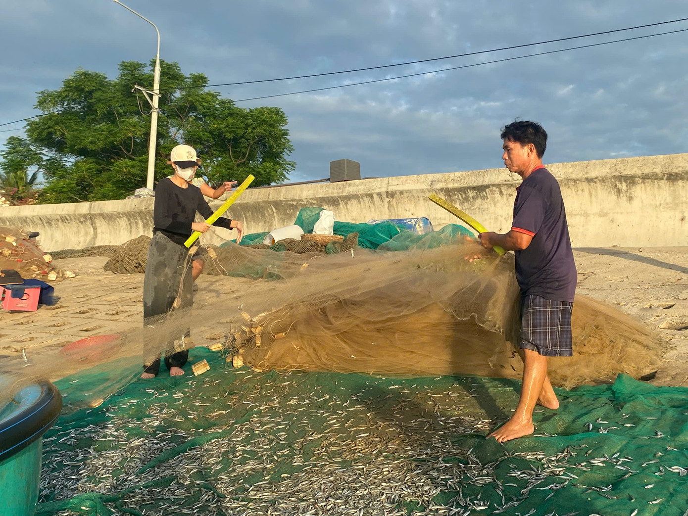 Có người dùng cây mềm gõ cho đỡ mỏi tay. Có người dùng cây mềm gõ cho đỡ mỏi tay.