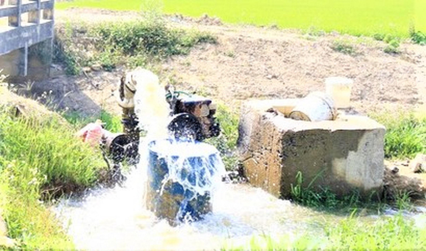 Người dân phải dùng bơm hut nước tưới lúa