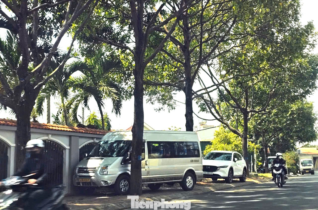 Cơ quan An ninh điều tra đề nghị Đắk Lắk cung cấp 4 hồ sơ dự toán của 4 dự án cây xanh