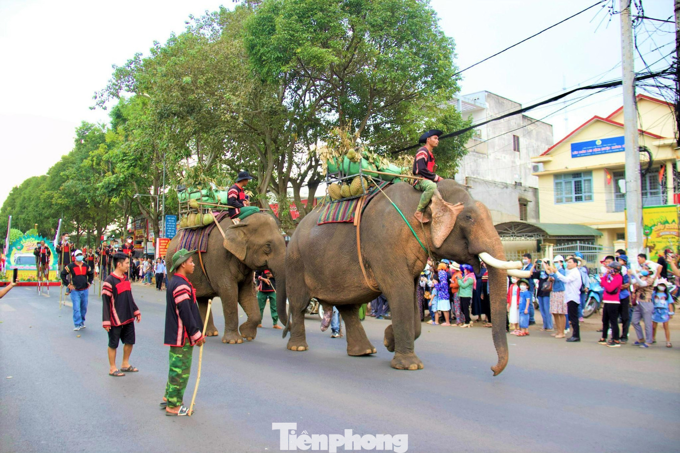 Những chú voi mang theo sầu riêng diễu hành trên đường phố