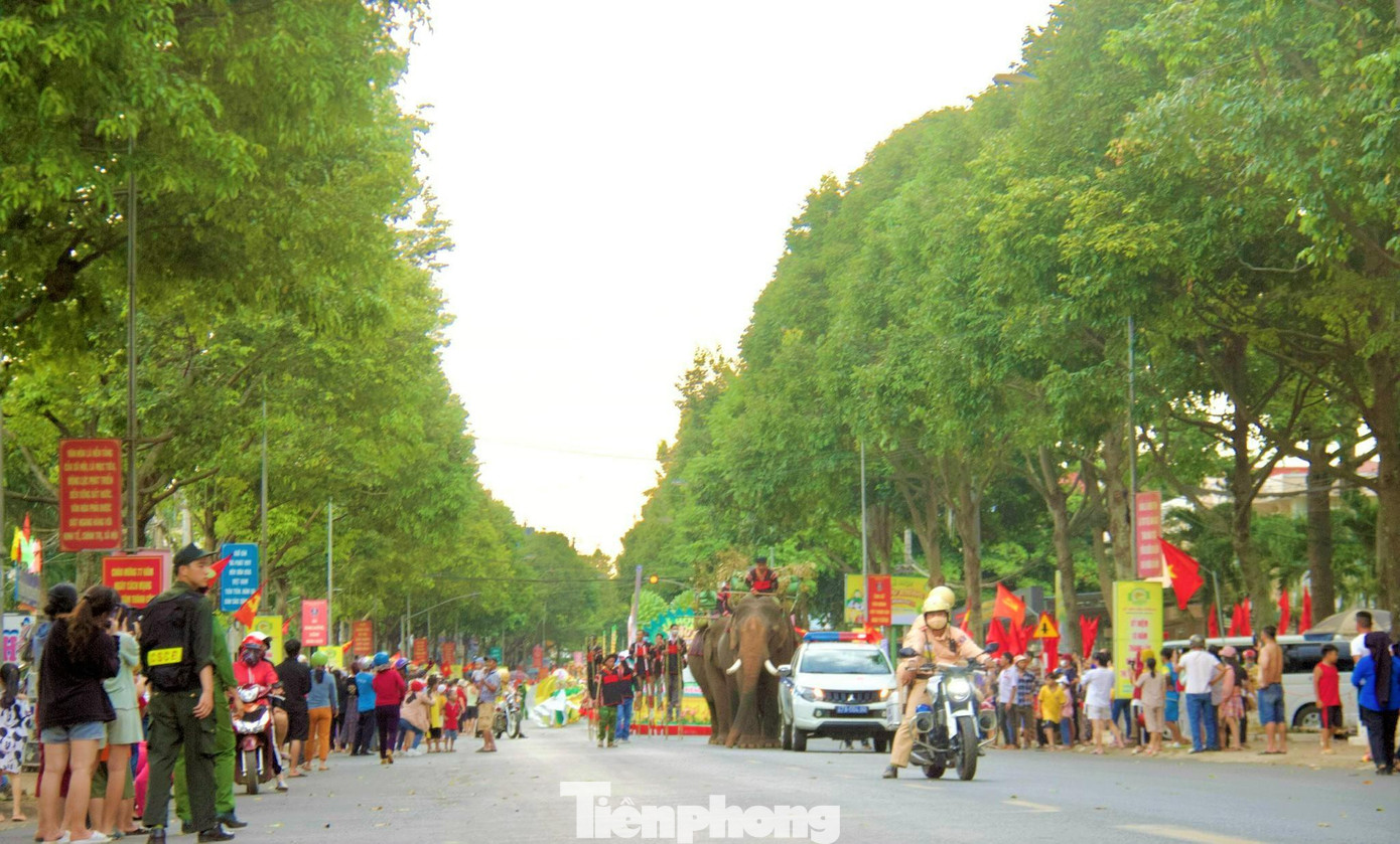 Những chú voi mở đầu diễu hành đường phố