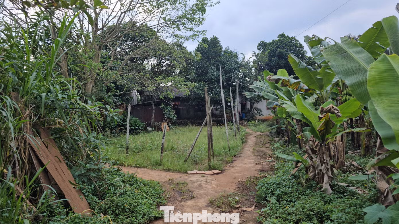 Đường vào nhà ông Sú A Lộc