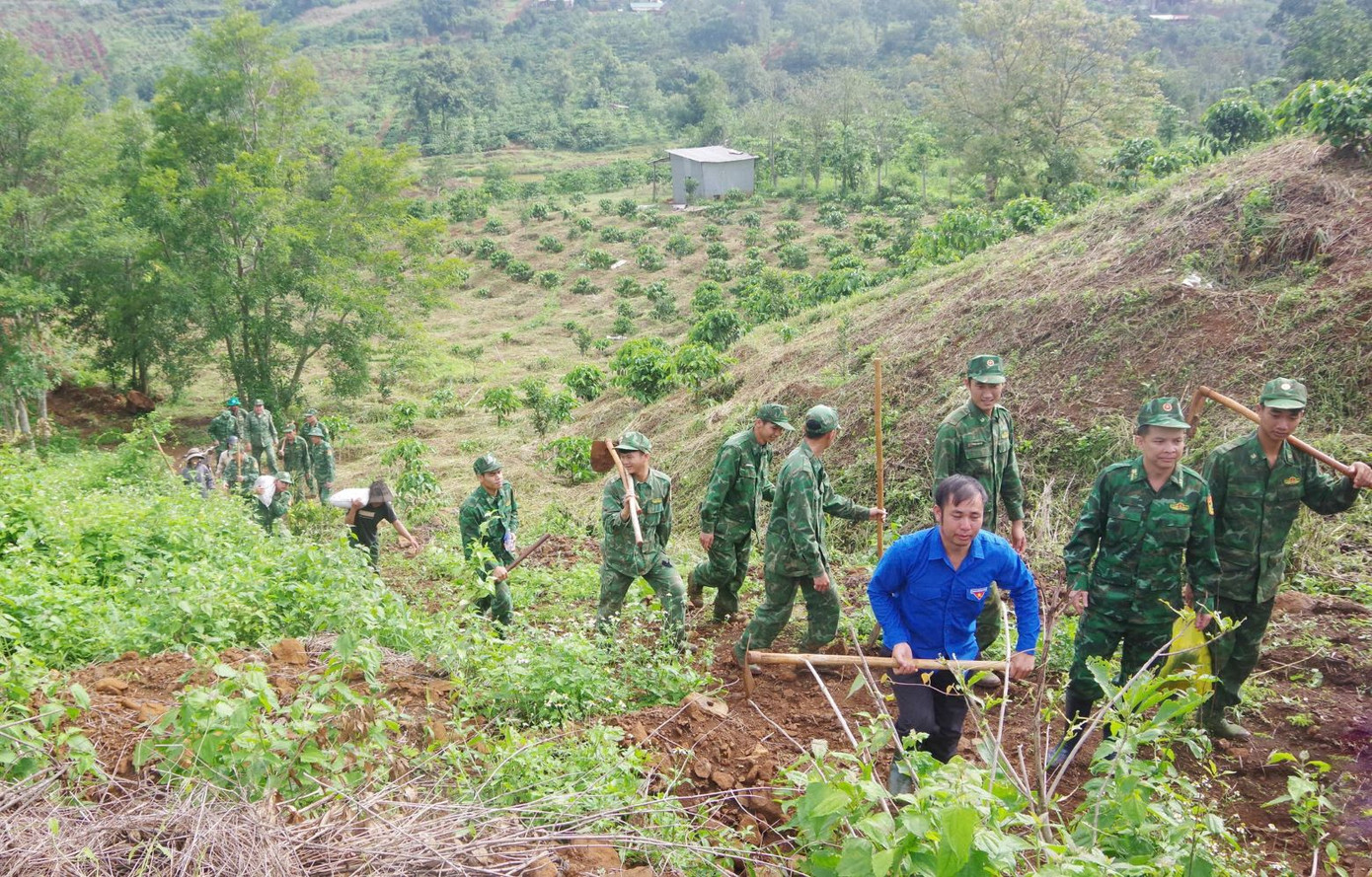 Các lực lượng tham gia hỗ trợ trồng cây giống cho bà con Các lực lượng tham gia hỗ trợ trồng cây giống cho bà con