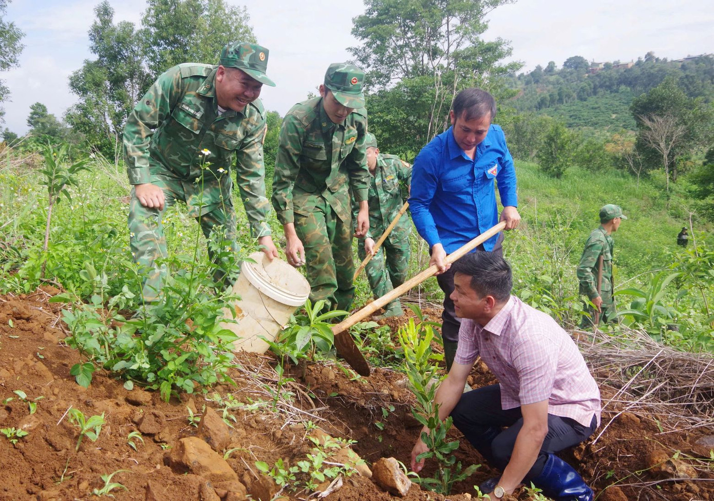 Chương trình tặng giống cây mắc ca có ý nghĩa thiết thực với bà con vùng biên giới Chương trình tặng giống cây mắc ca có ý nghĩa thiết thực với bà con vùng biên giới