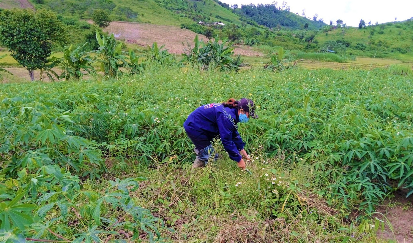 Người lao động Đắk Lắk xoay xở tìm việc sau khi về quê vì dịch COVID-19