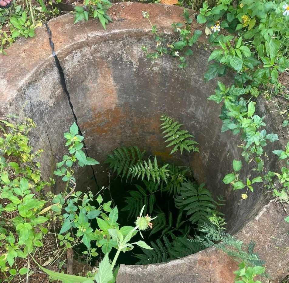 Giếng hoang trong rẫy khá sâu