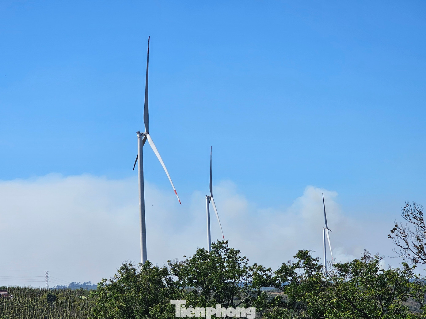 Ba doanh nghiệp năng lượng không đạt tiêu chuẩn an toàn về an ninh trật tự năm 2024.