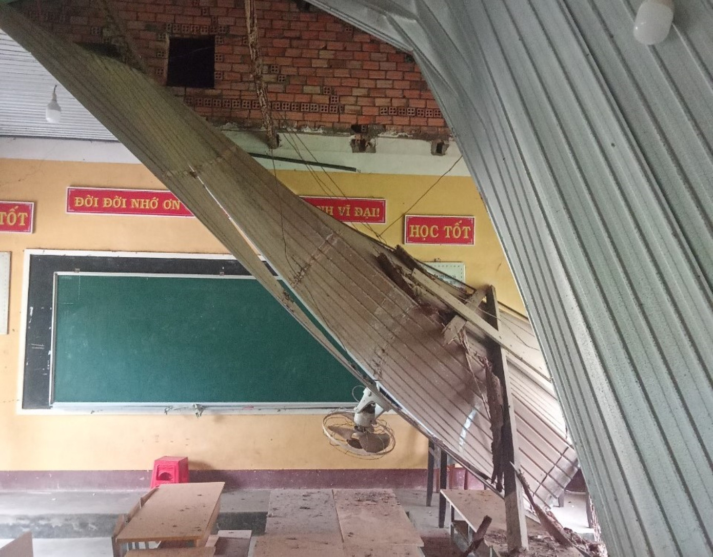 Mối mọt đổ đầy xuống sàn nhà.