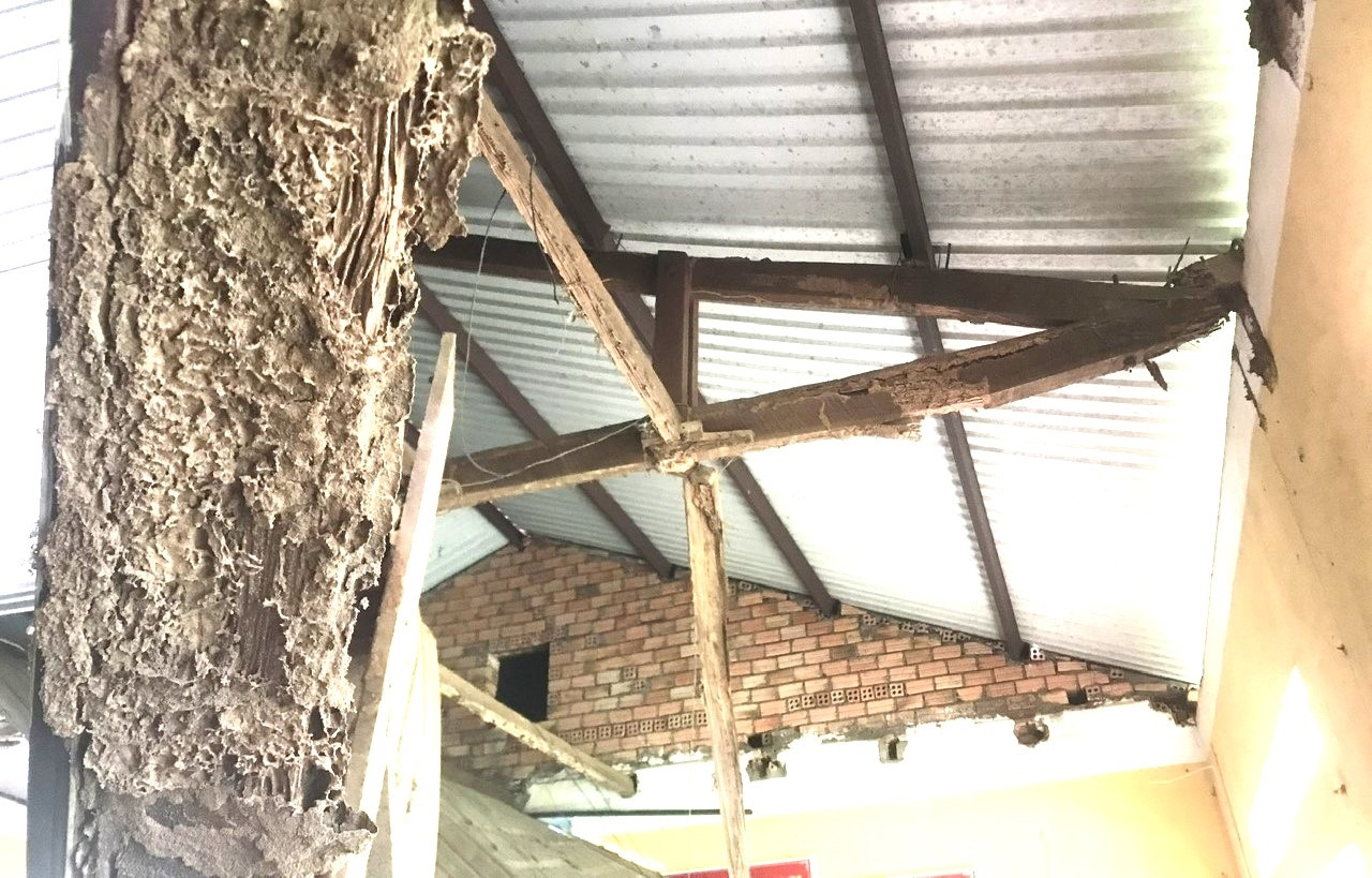 Mối mọt tấn công phần xà gồ.