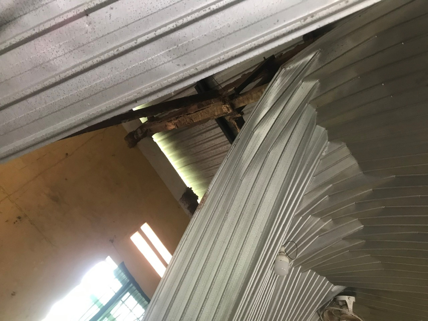 Trần nhà bị sập đã lộ rõ phần xà gồ bị mục nhũn.
