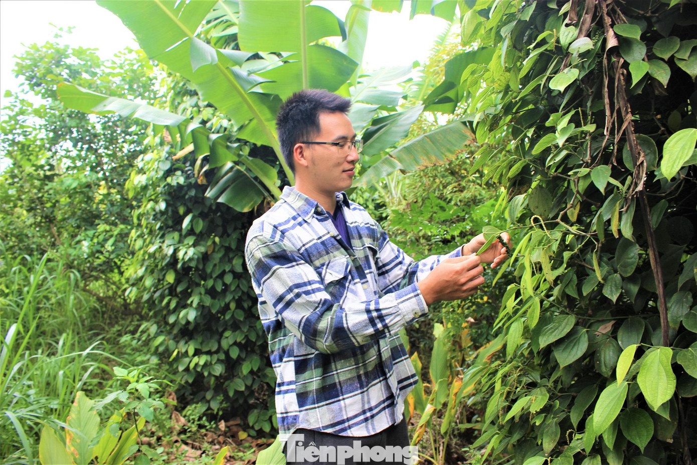 Do cắt đứt nguồn phân bón, thuốc bảo vệ thực vật nên trong năm đầu, năng suất cây trồng giảm 1 nửa; những năm tiếp theo, năng suất mới tăng lên. Trong khu vườn, anh Công để 1 diện tích đất rậm rạp (khoảng 1 sào) làm “nhà ở” cho côn trùng, chim thú…