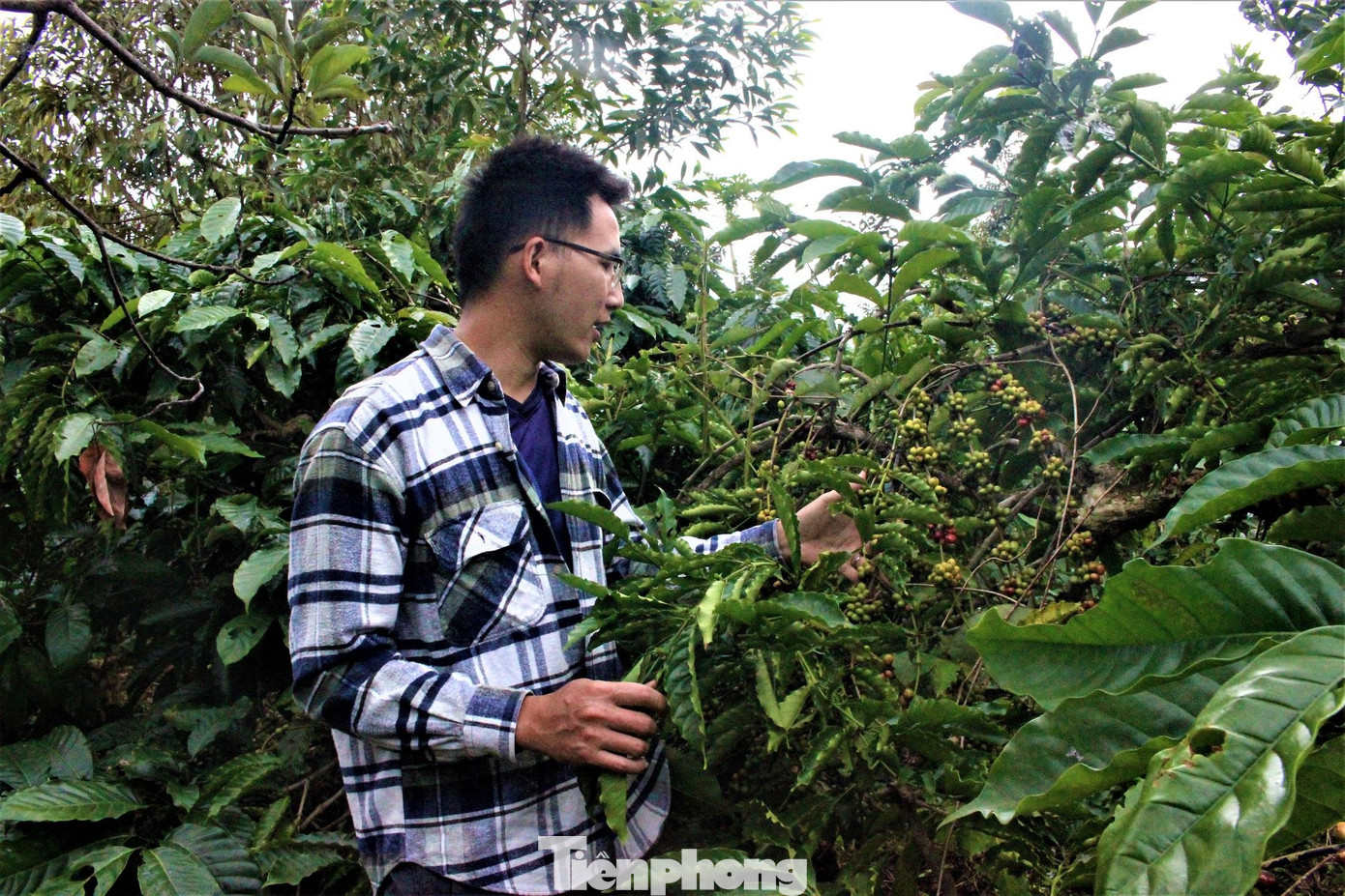 Với anh Công, bước ra khu vườn là cách nạp năng lượng tích cực. Những trải nghiệm, hiểu biết về vườn rừng, lợi ích mà mô hình này mang lại được anh chia sẻ trên kênh YouTube mang tên Khu vườn của mẹ. Đây là cách anh lan tỏa tình yêu thiên nhiên, truyền thông điệp tích cực về mô hình canh tác bền vững, đảm bảo sức khỏe cho cả người nông dân và người tiêu dùng.