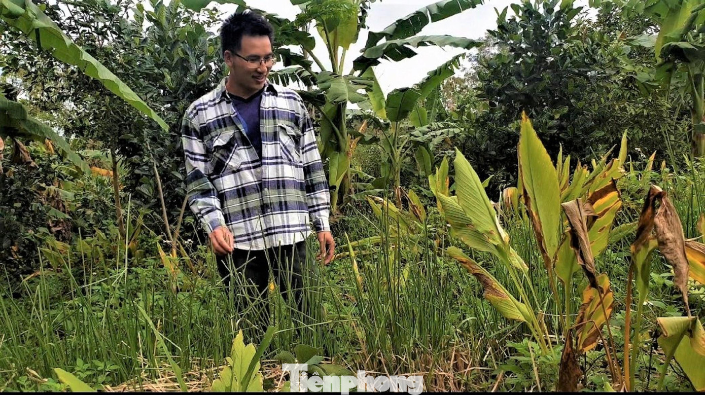 Đấy là khu vườn rộng hơn 2 héc-ta của anh Nông Văn Công (SN 1993, thôn Cao Bằng, thị trấn Phước An, huyện Krông Pắc). Khác với những khu vườn xung quanh, vườn nhà anh Công um tùm cỏ dại, đủ loại cây trồng và đặc biệt có tiếng chim hót, sóc, chuột quanh quẩn không rời.