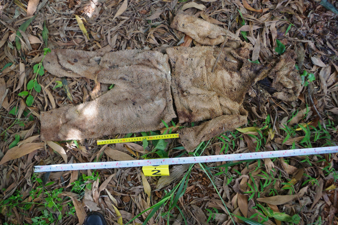 Nơi phát hiện tử thi Nơi phát hiện tử thi