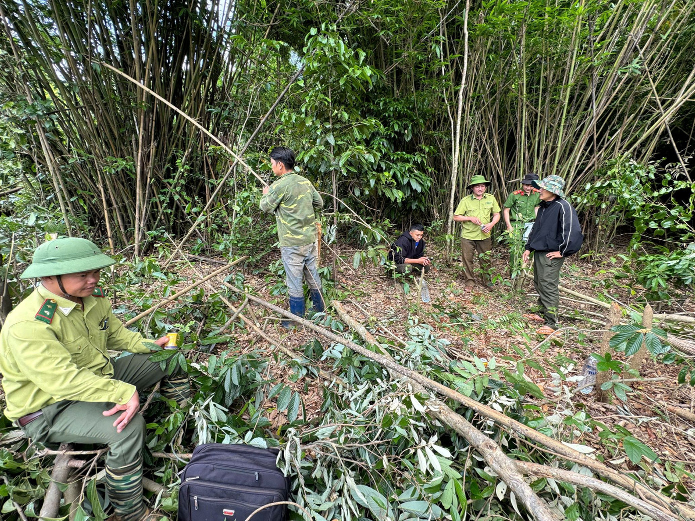 Cơ quan chức năng đang kiểm tra hiện trường vụ phá rừng Cơ quan chức năng đang kiểm tra hiện trường vụ phá rừng