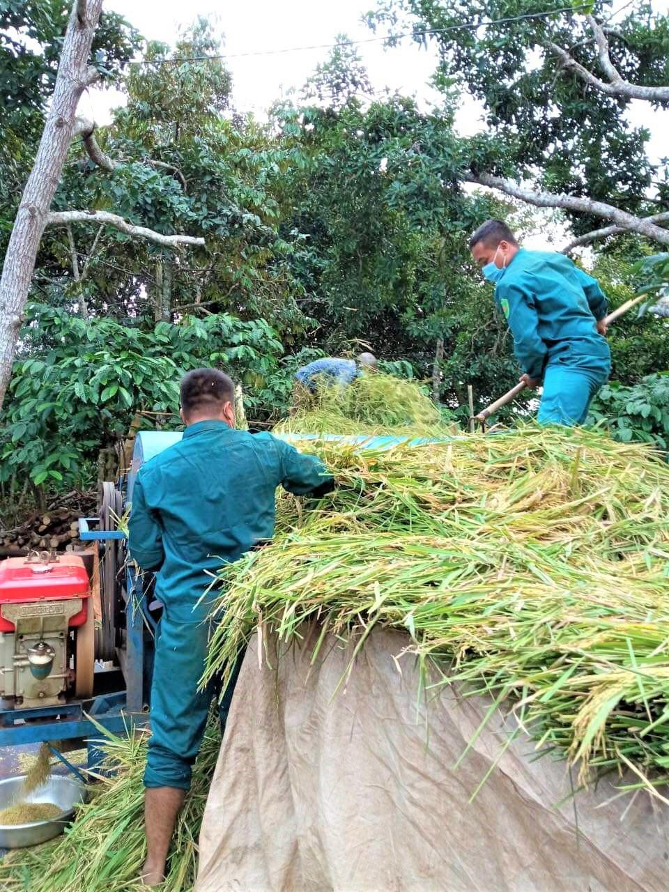 Biệt đội sao vuông giữ ‘nồi cơm’ cho người dân mùa dịch COVID-19 ảnh 1