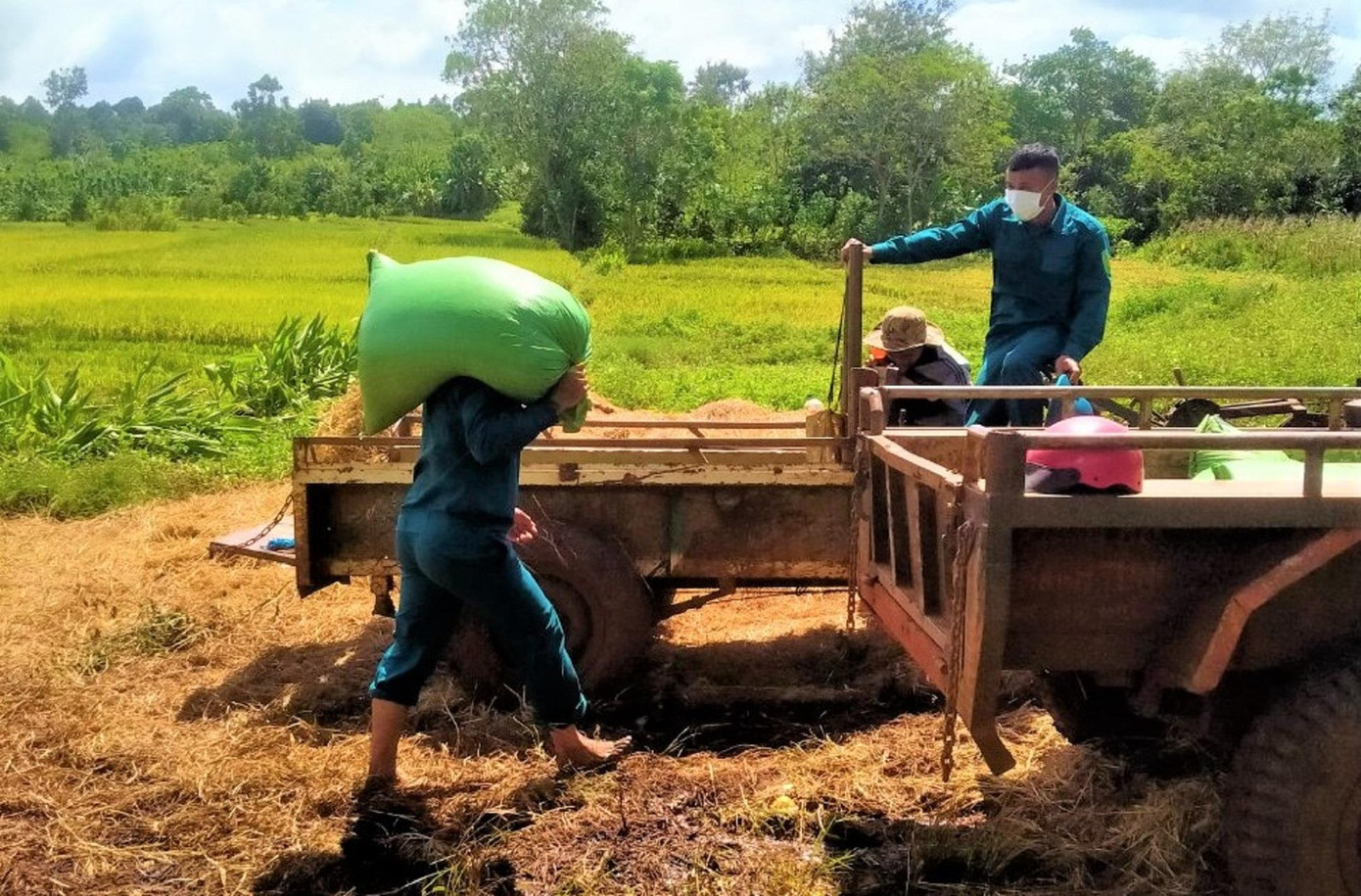 Anh Y Lem Niê- Chỉ huy trưởng Ban CHQS phường An Lạc cho biết, các hoạt động trên xuất phát từ chỉ đạo, quán triệt của Đảng ủy phường An Lạc và tinh thần tương thân tương ái, sự đùm bọc, giúp đỡ lẫn nhau của các cán bộ, chiến sĩ trong ban. Mỗi người một việc, vác lúa, kéo bạt hái cà phê hay hái bèo, thái chuối, nấu ăn cho lợn, gà… các chiến sĩ cũng đảm nhận hết.