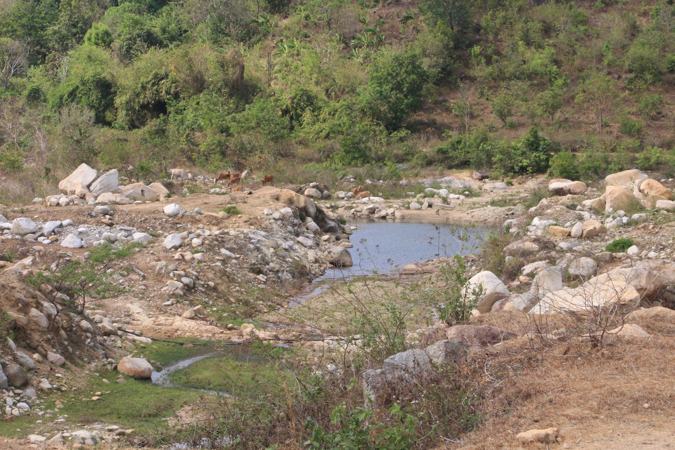 Vị trí xây hồ Buôn Biếp (thuộc dự án hồ chứa nước Yên Ngựa), vẫn là bãi đất trống.