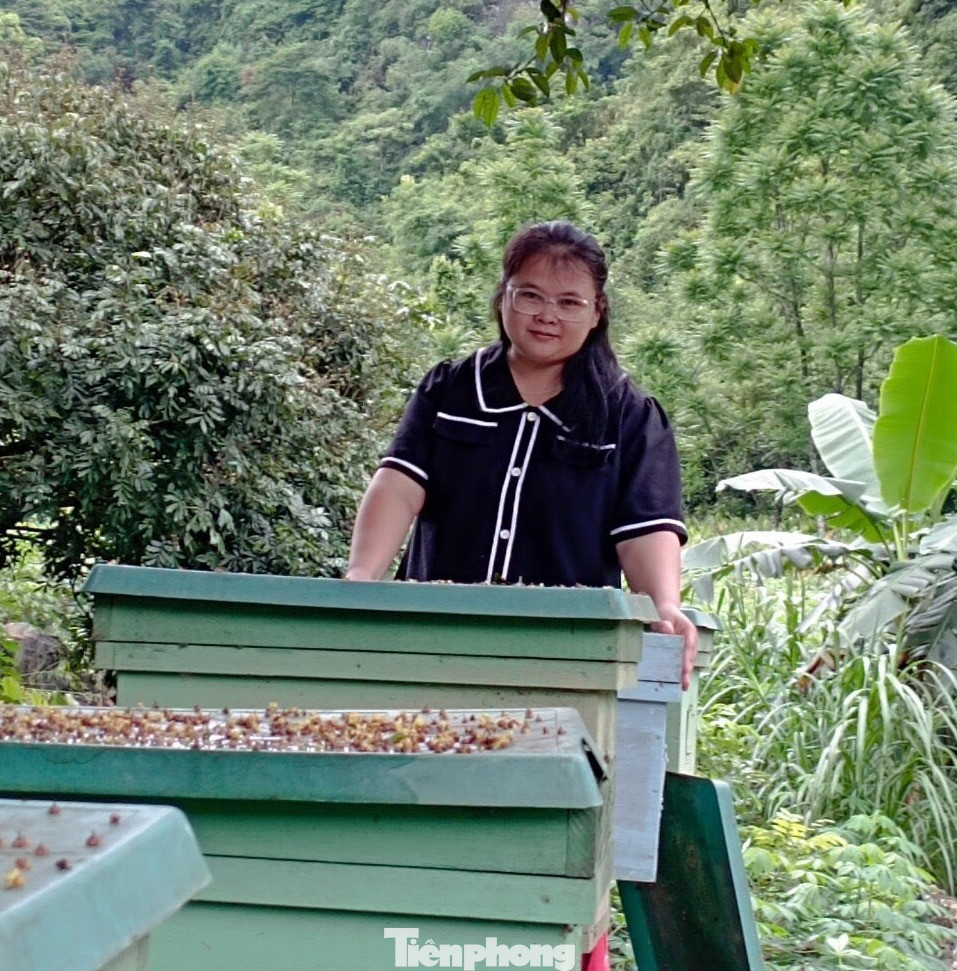 Ma Thị Kim Oanh bên các tổ ong