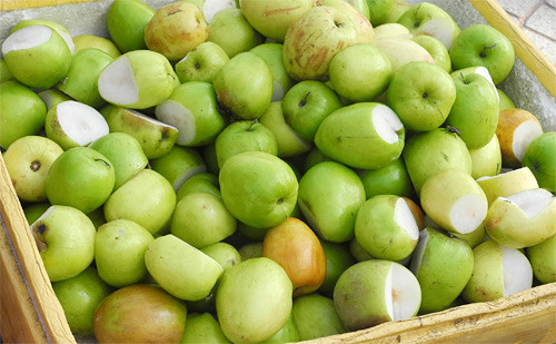 Những loại hoa quả bị hỏng một phần có giá rất rẻ, một kg táo chỉ khoảng 5.000 đồng. Ảnh: Nguyễn Hòa. Những loại hoa quả bị hỏng một phần có giá rất rẻ, một kg táo chỉ khoảng 5.000 đồng. Ảnh: Nguyễn Hòa