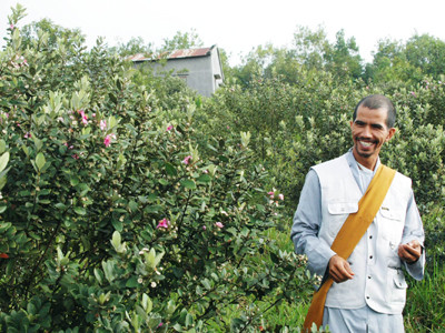 Nguyễn Đức Vân trên đồi sim rộng hơn 1ha của mình. Ảnh: Nguyên Anh 