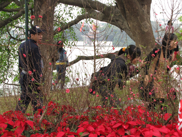 Một đôi bạn bị bảo vệ nhắc nhở vì xâm nhập vườn hoa