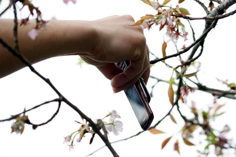 Mặc dù cảnh sát rất vất vả trong việc ngăn những người quá hiếu kỳ nhưng vẫn có những cánh tay ghét sát các cành cây để... sờ và chụp ảnh!