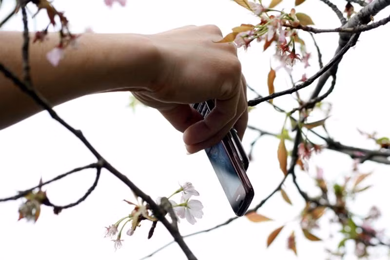 Mặc dù cảnh sát rất vất vả trong việc ngăn những người quá hiếu kỳ nhưng vẫn có những cánh tay ghét sát các cành cây để... sờ và chụp ảnh!