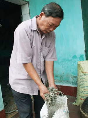 Thầy lang S. bên bao thuốc chữa bệnh